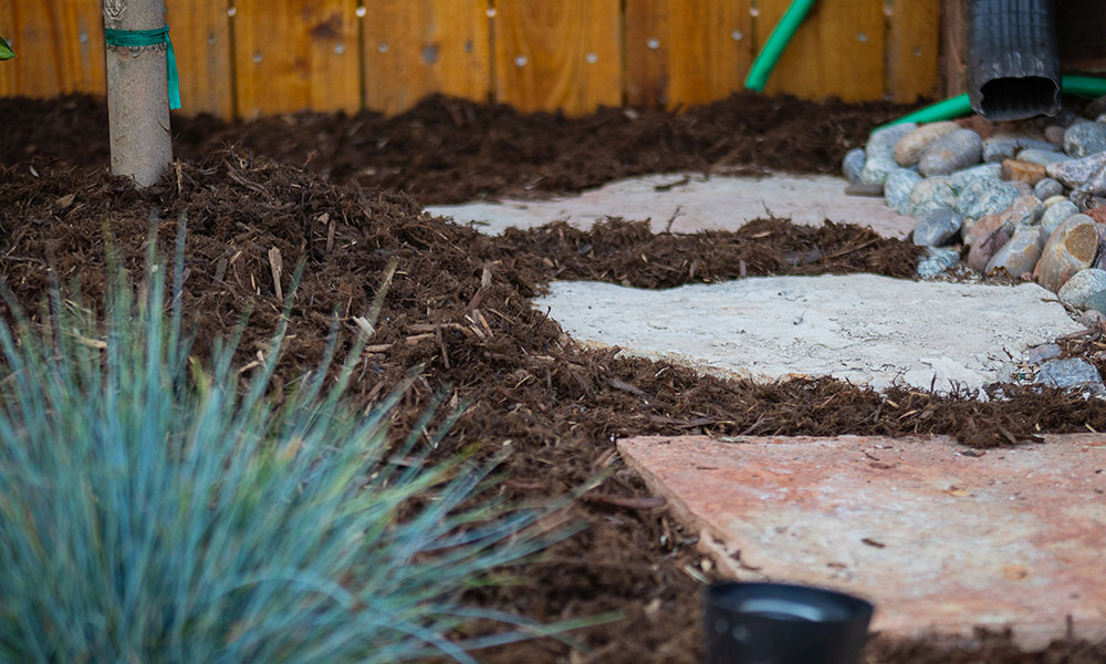 What Is the Proper Drainage System for Your Yard?