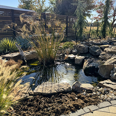 A custom koi pond in a backyard