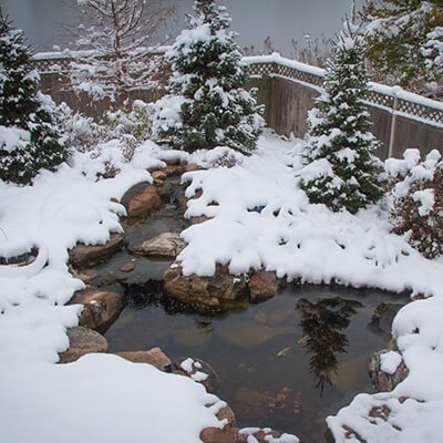 A snowy koi pond