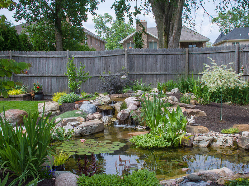 A koi pond designed by White Willow Designs