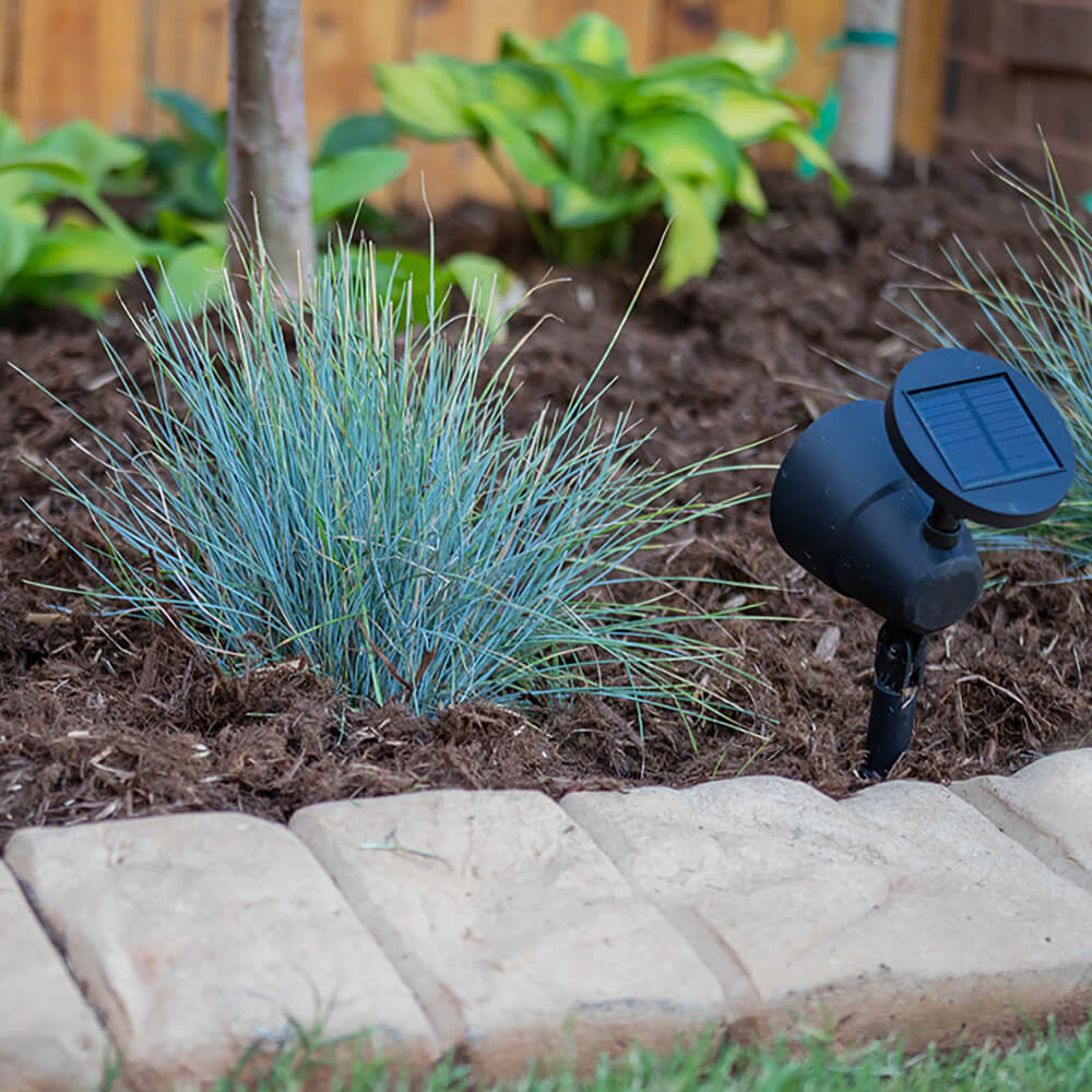 A flower bed with soil. 